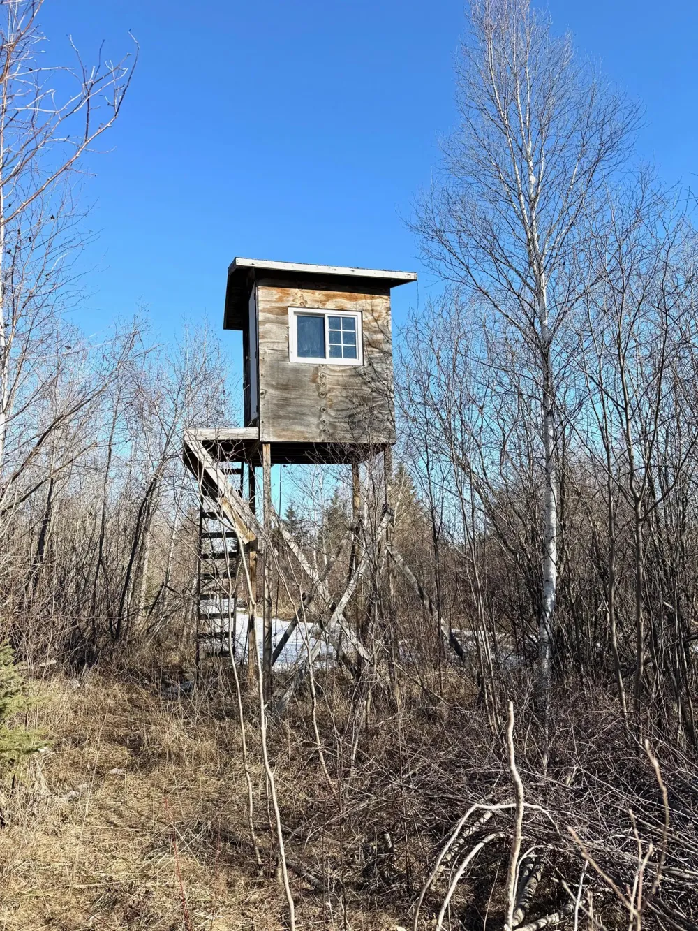 TBD Tangnes Forest Road Roosevelt, MN 56673