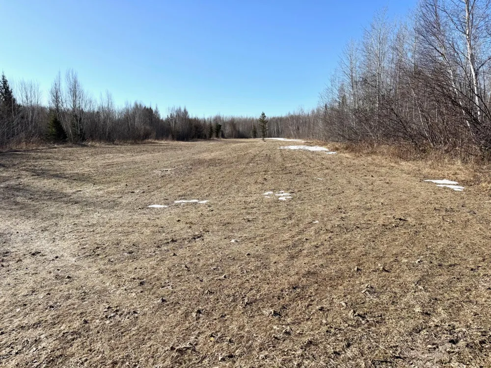 TBD Tangnes Forest Road Roosevelt, MN 56673