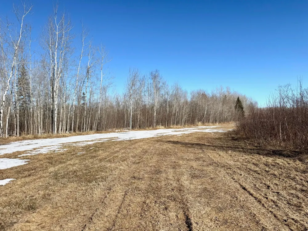 TBD Tangnes Forest Road Roosevelt, MN 56673