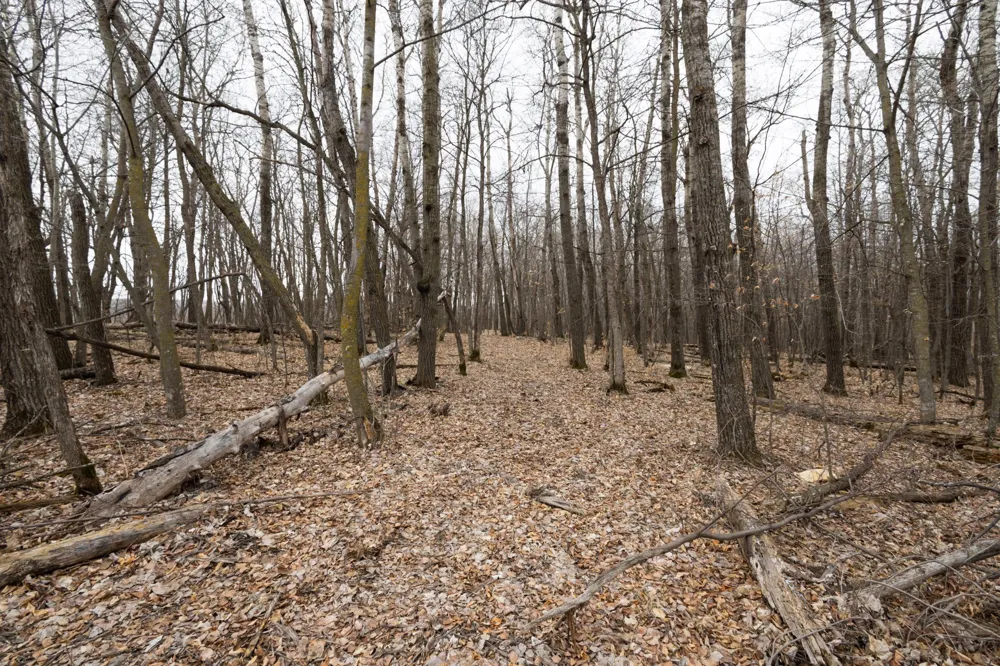 Lot 3 Saylers Beach Road Lake Park, MN 56554