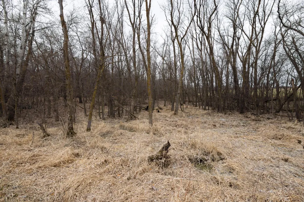 Lot 3 Saylers Beach Road Lake Park, MN 56554