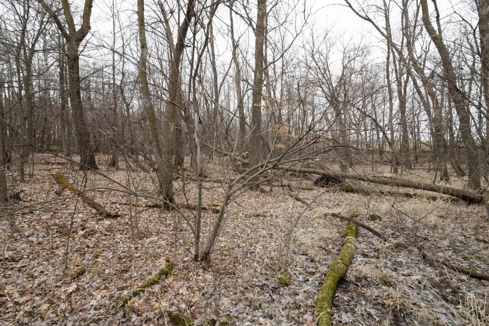 Lot 3 Saylers Beach Road Lake Park, MN 56554