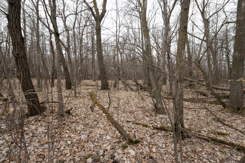 Lot 3 Saylers Beach Road Lake Park, MN 56554