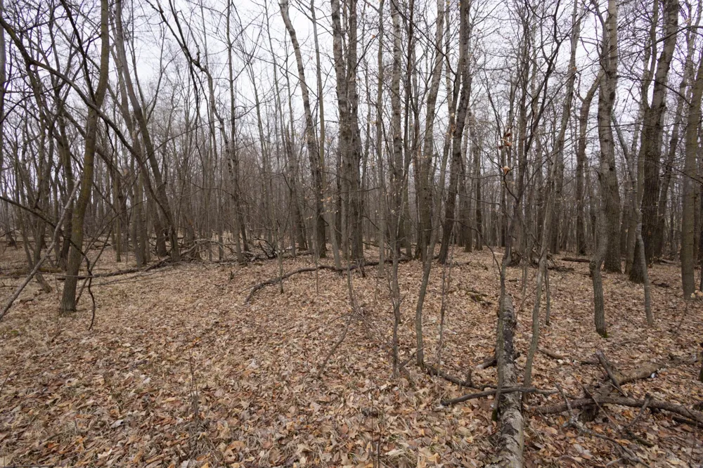 Lot 4 Saylers Beach Road Lake Park, MN 56554