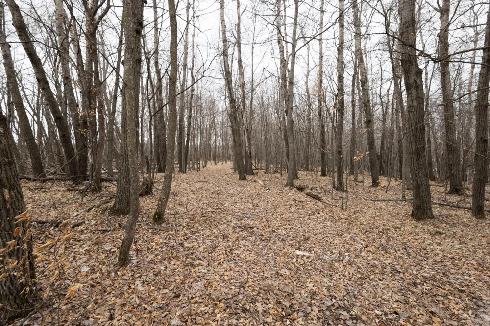 Lot 4 Saylers Beach Road Lake Park, MN 56554