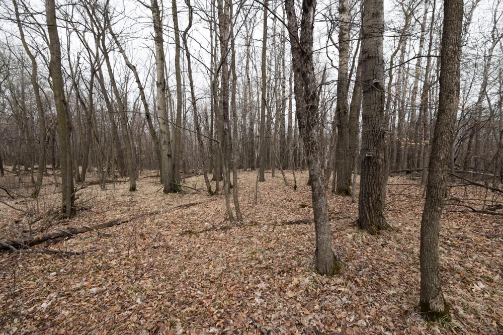 Lot 6 Saylers Beach Road Lake Park, MN 56554