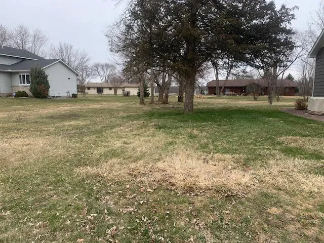xxx Main St Belle Plaine, MN 56011