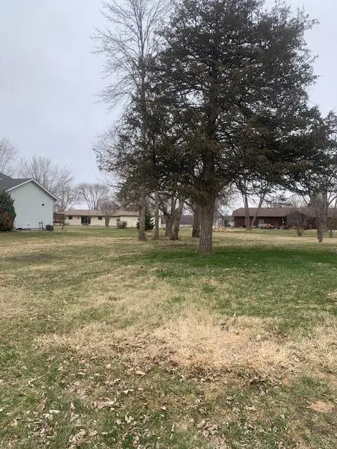 xxx Main St Belle Plaine, MN 56011
