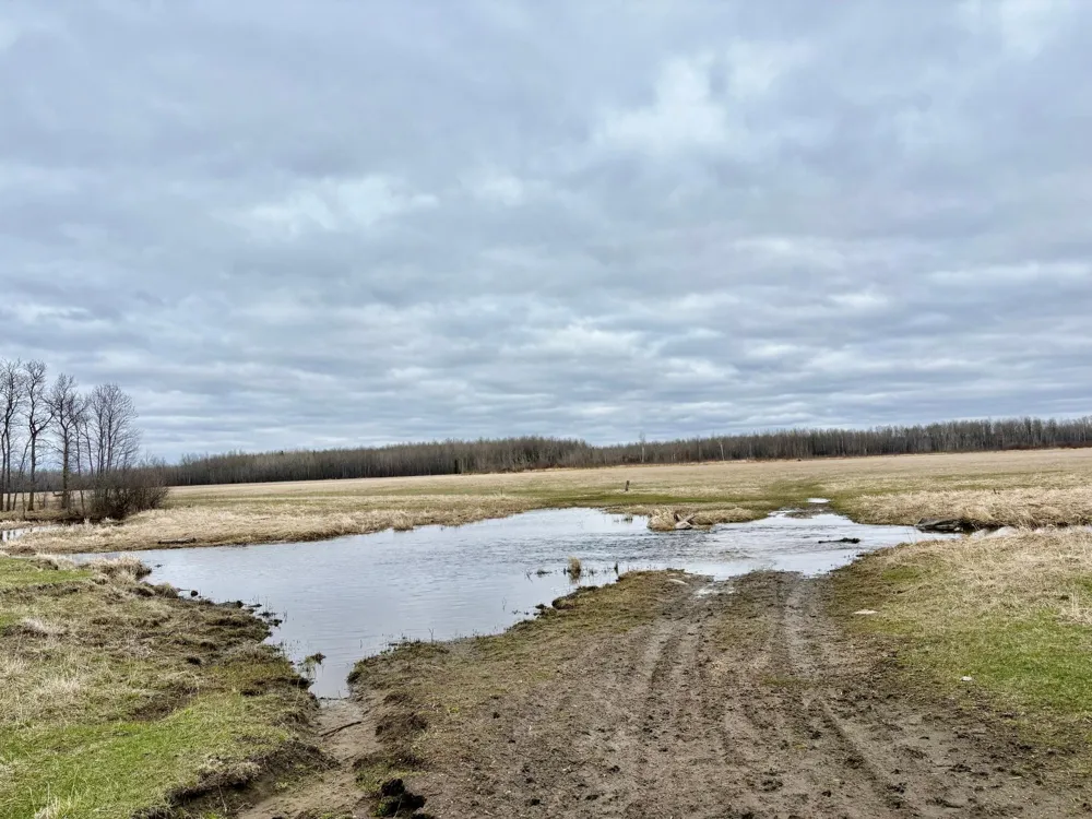 3451 Hay Creek Road SE Baudette, MN 56623