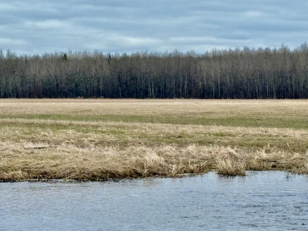 3451 Hay Creek Road SE Baudette, MN 56623