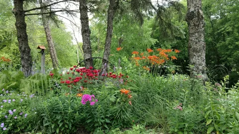 2945 County Road 4 #120 SW