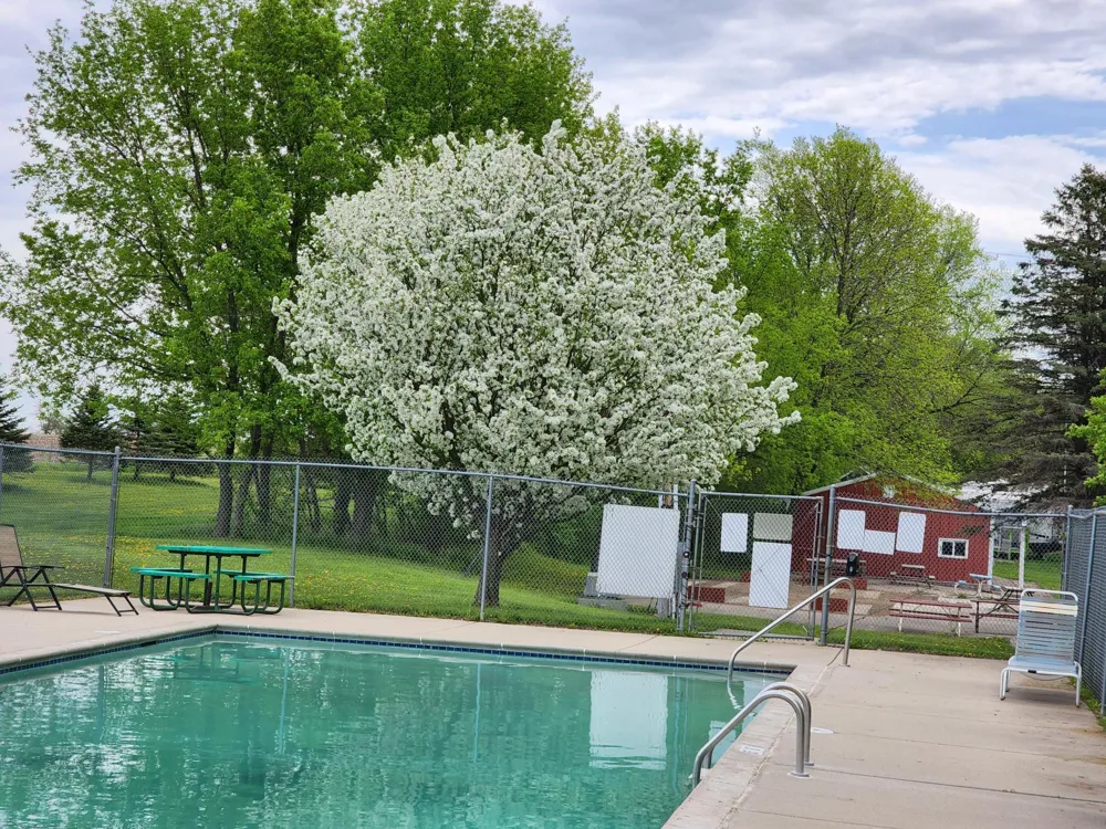 2945 County Road 4 SW #428 Cokato, MN 55321