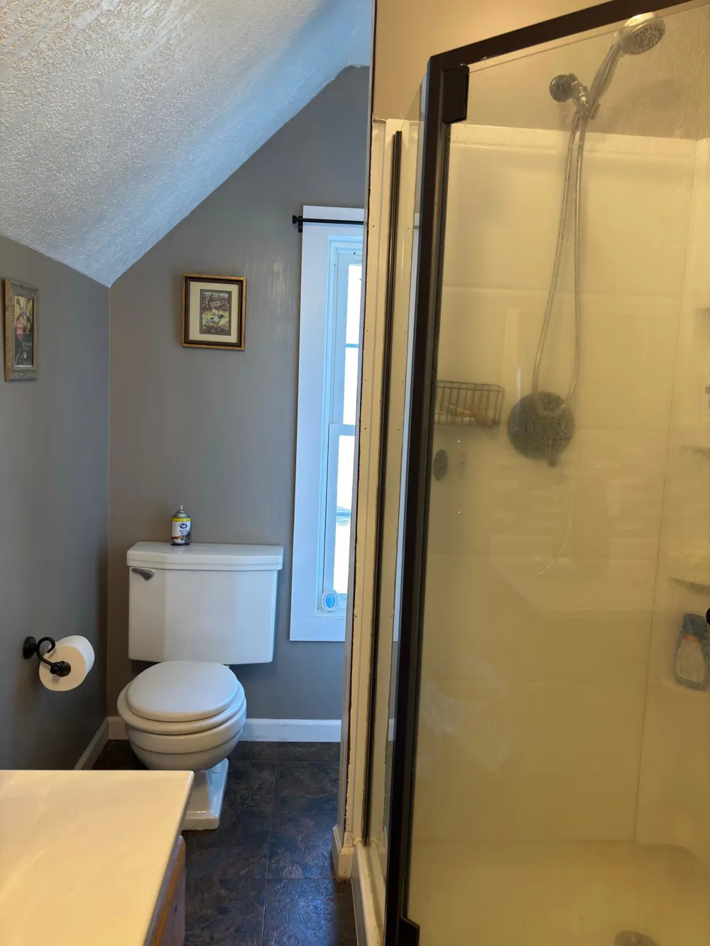 20362 370th Avenue Cyrus, MN 56323