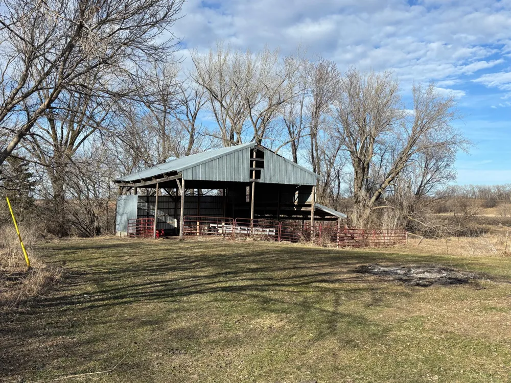 20362 370th Avenue Cyrus, MN 56323