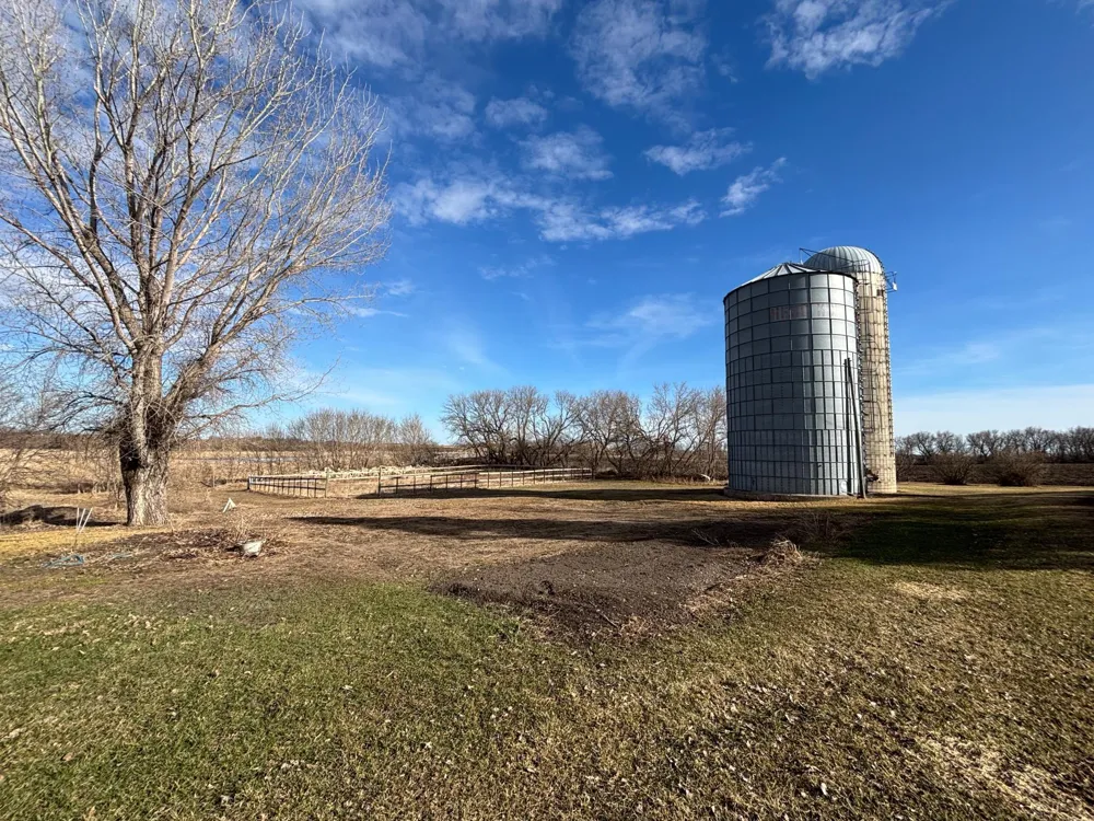 20362 370th Avenue Cyrus, MN 56323