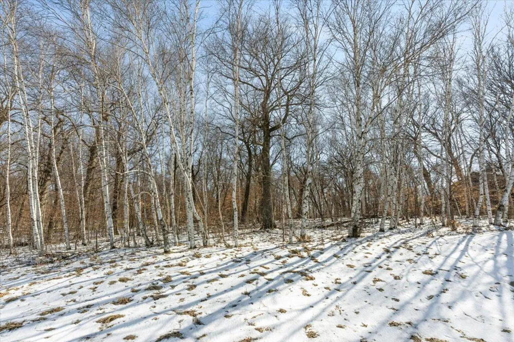 21781 Trestle Ridge Road Albany, MN 56307