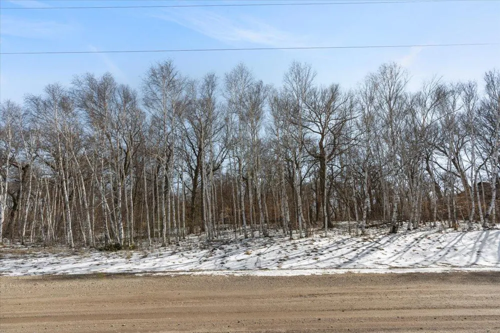 21781 Trestle Ridge Road Albany, MN 56307