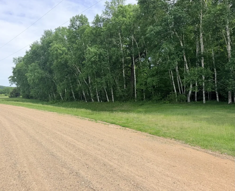 21781 Trestle Ridge Road Albany, MN 56307