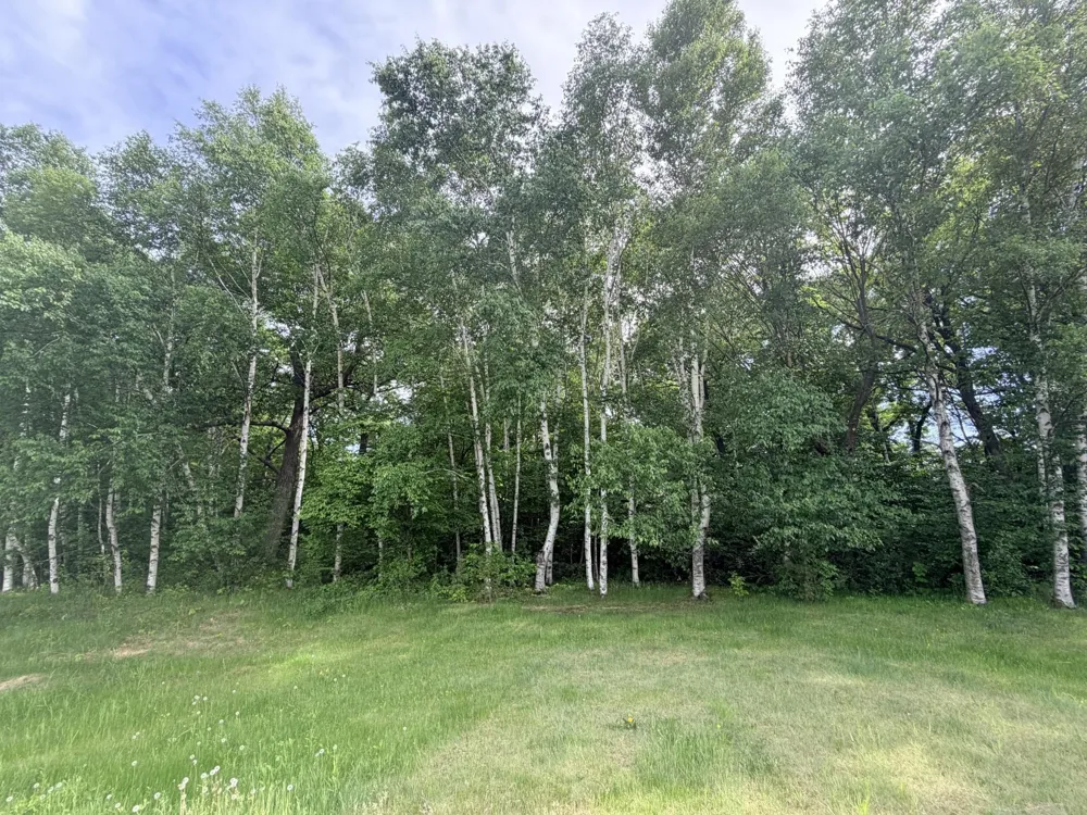 21781 Trestle Ridge Road Albany, MN 56307