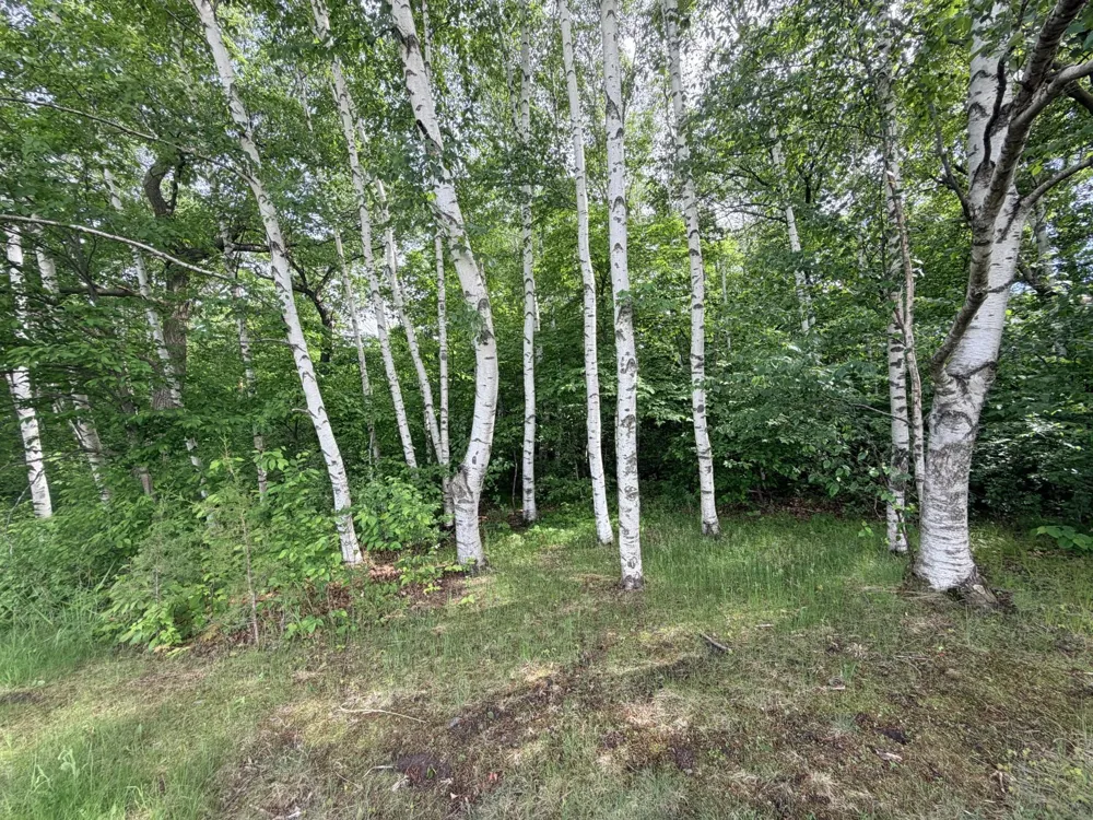 21781 Trestle Ridge Road Albany, MN 56307