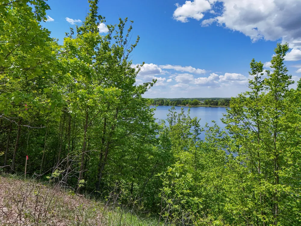 333XX 452nd St [A3] Vergas, MN 56587
