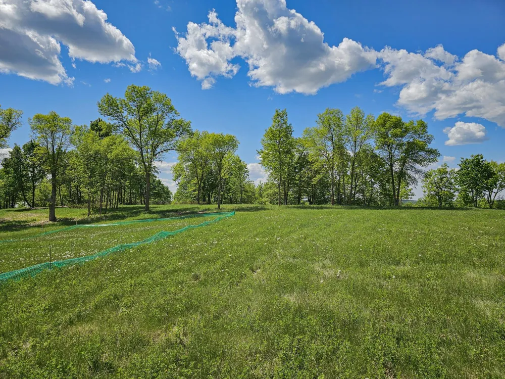 344XX 452nd St [A4] Vergas, MN 56587