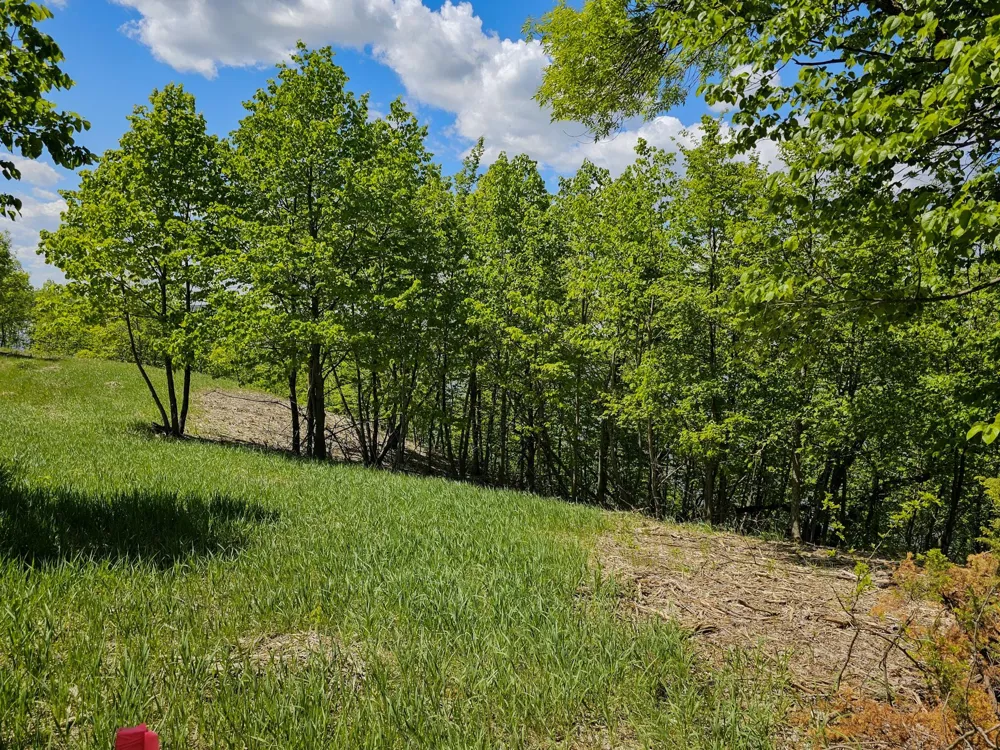 344XX 452nd St [A4] Vergas, MN 56587