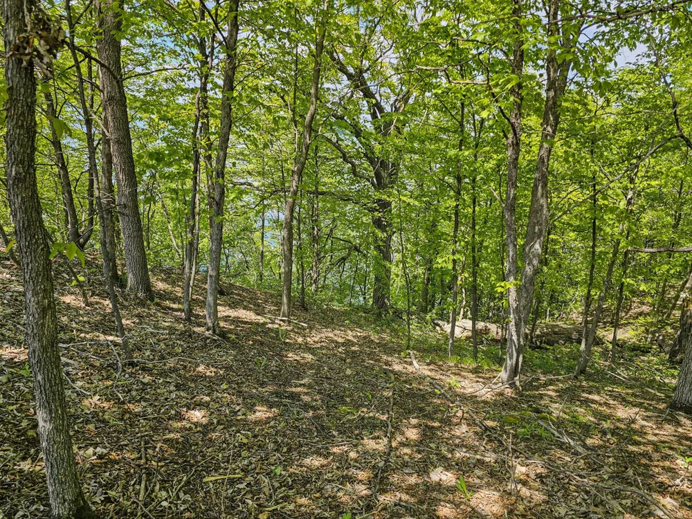 344XX 452nd St [A4] Vergas, MN 56587