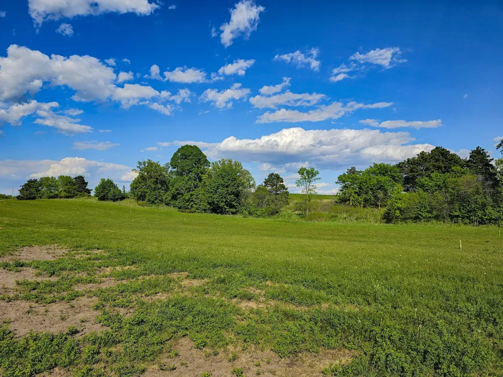 325XX 452nd St [B5] Vergas, MN 56587