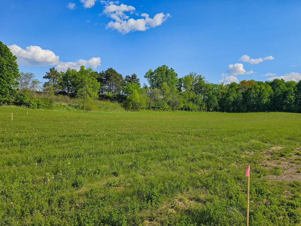 325XX 452nd St [B5] Vergas, MN 56587
