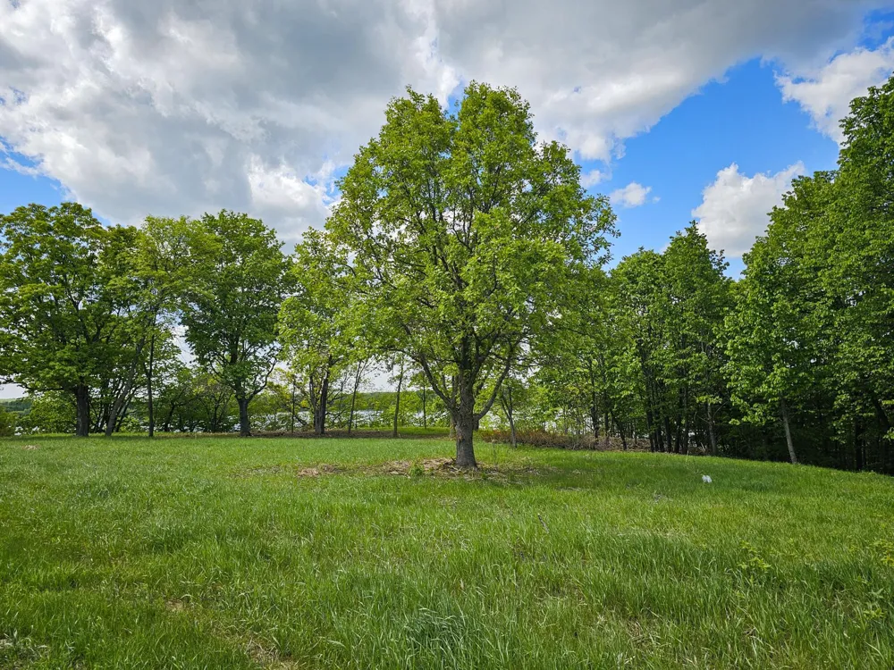 322XX 452nd St [A2] Vergas, MN 56587