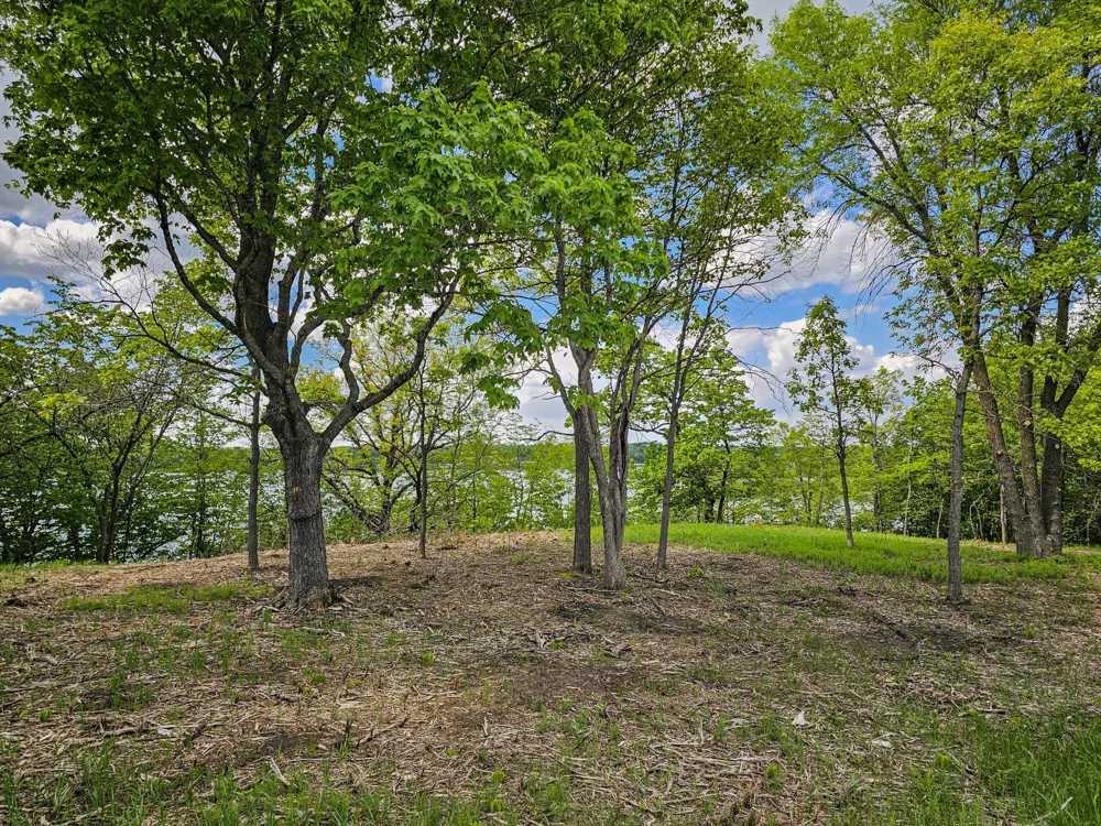322XX 452nd St [A2] Vergas, MN 56587