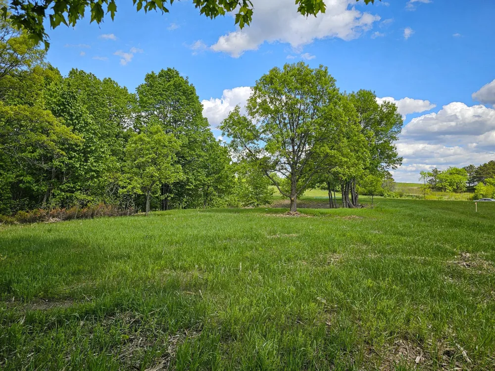 322XX 452nd St [A2] Vergas, MN 56587
