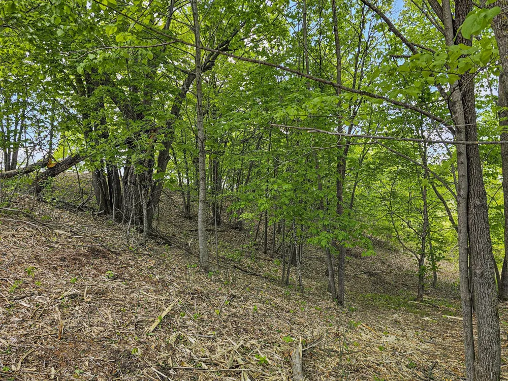 322XX 452nd St [A2] Vergas, MN 56587