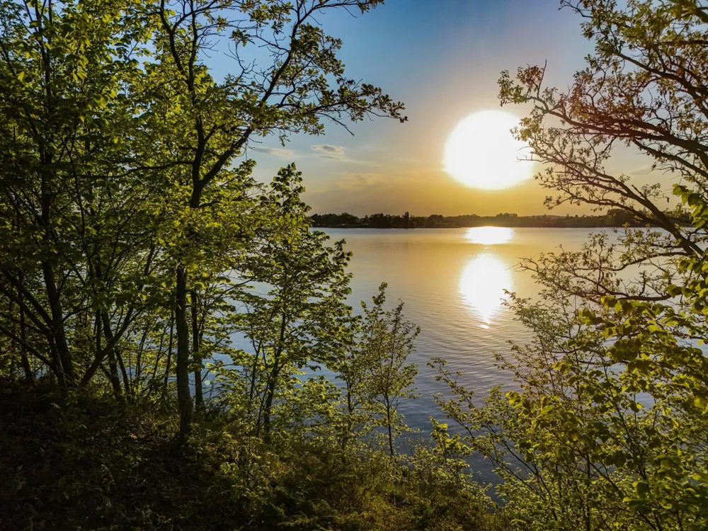 322XX 452nd St [A2] Vergas, MN 56587