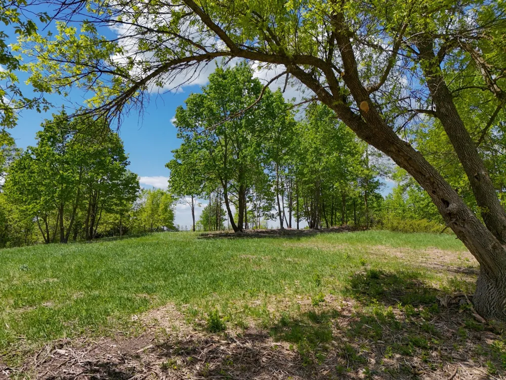 355XX 452nd St [A5] Vergas, MN 56587