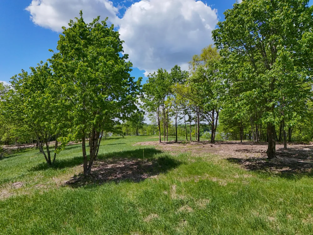 355XX 452nd St [A5] Vergas, MN 56587