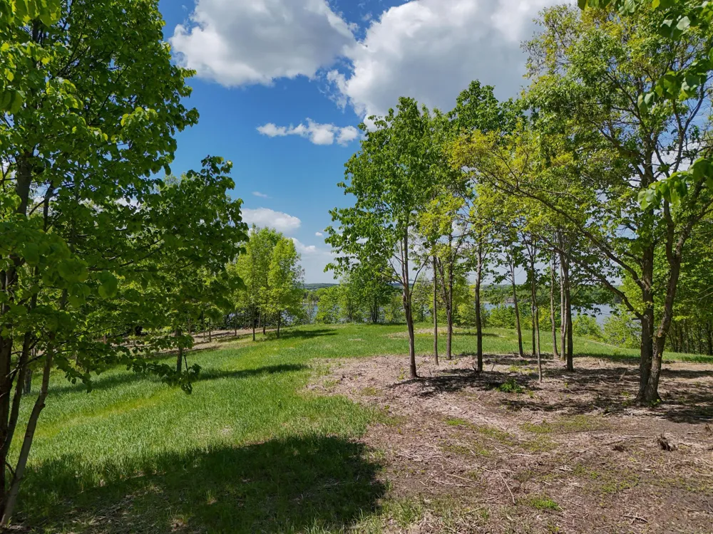 355XX 452nd St [A5] Vergas, MN 56587