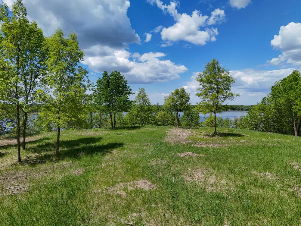 355XX 452nd St [A5] Vergas, MN 56587