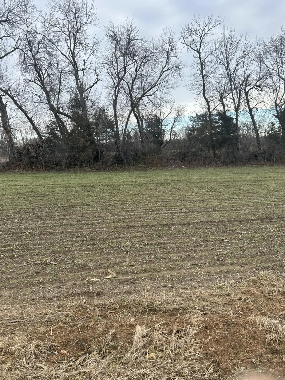 Lot 1 Orlando Avenue Hastings, MN 55033