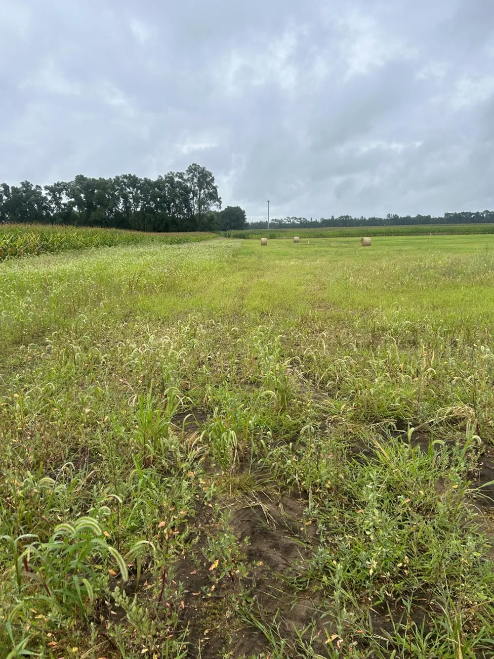 Lot 1 Orlando Avenue Hastings, MN 55033
