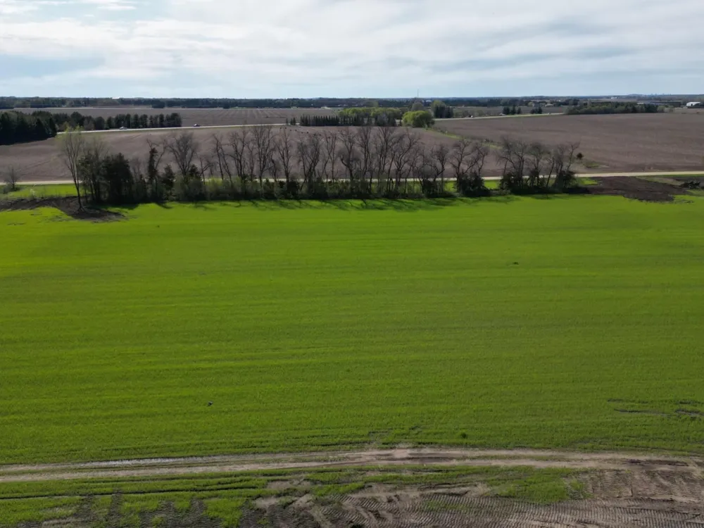 Lot 1 Orlando Avenue Hastings, MN 55033