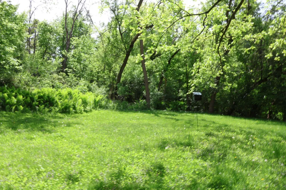591 E 7th Street Red Wing, MN 55066
