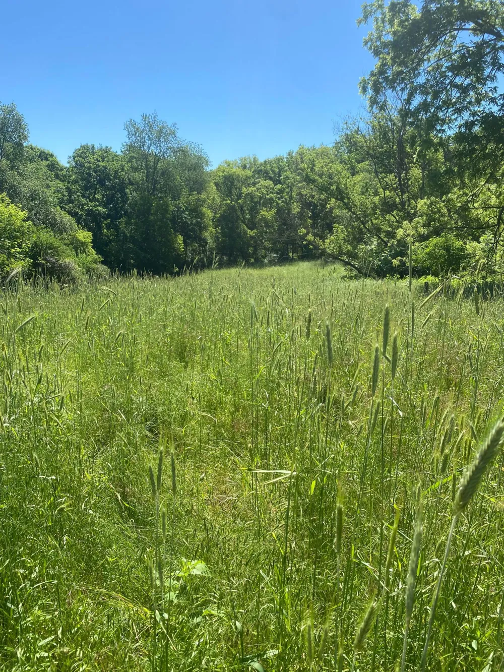 27333 Deep River Road Lanesboro, MN 55949