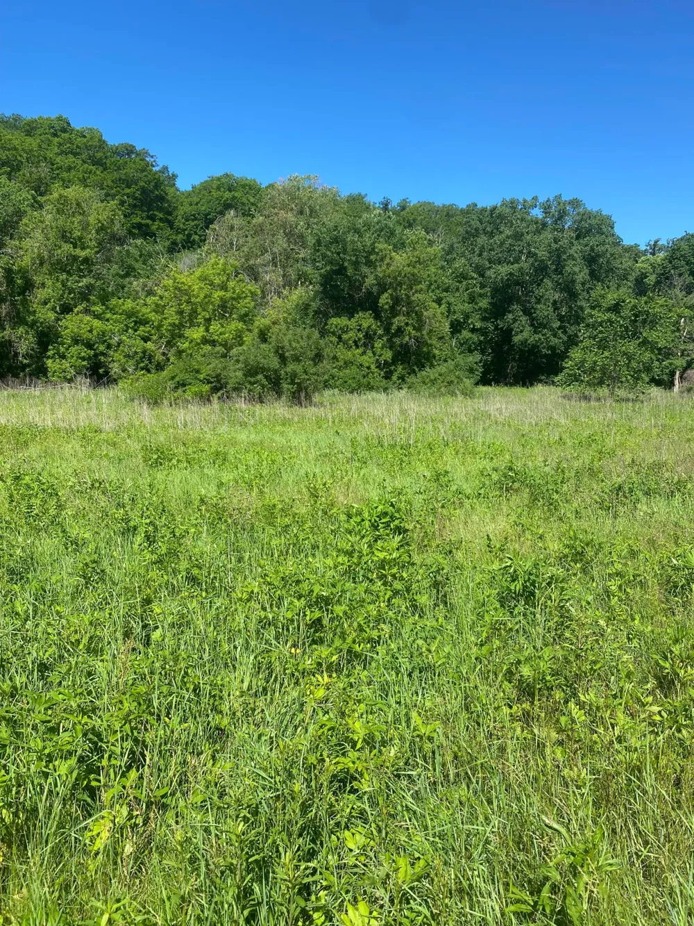 27333 Deep River Road Lanesboro, MN 55949