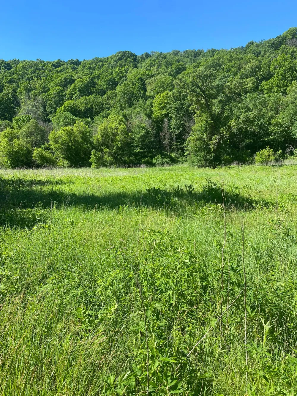 27333 Deep River Road Lanesboro, MN 55949