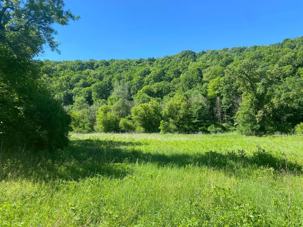 27333 Deep River Road Lanesboro, MN 55949