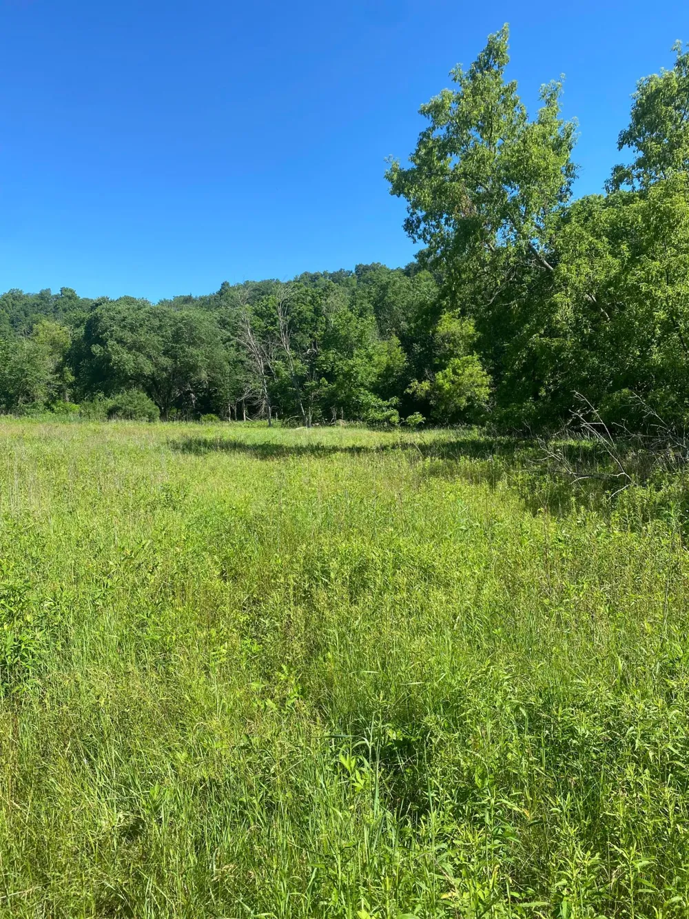 27333 Deep River Road Lanesboro, MN 55949