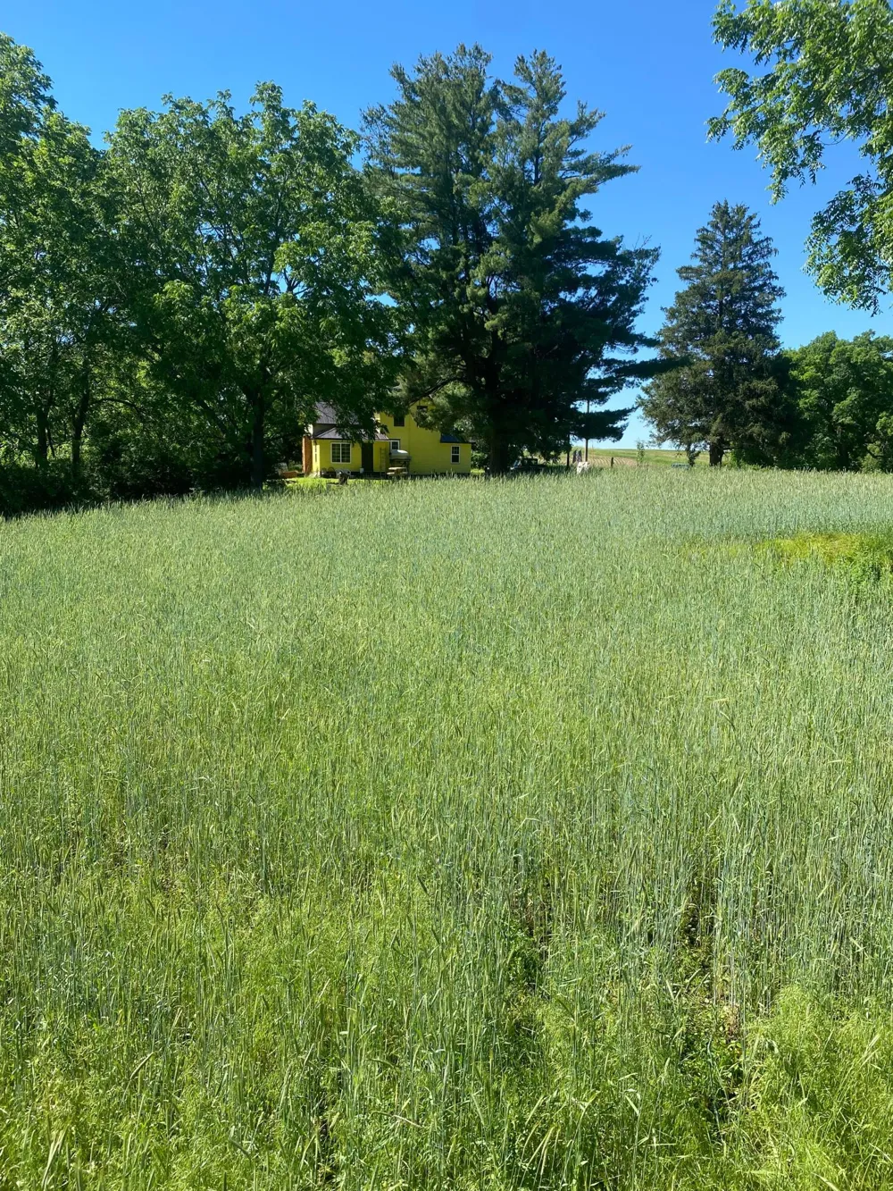 27333 Deep River Road Lanesboro, MN 55949