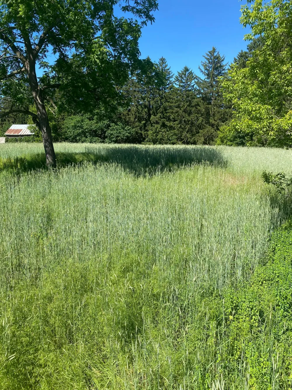 27333 Deep River Road Lanesboro, MN 55949